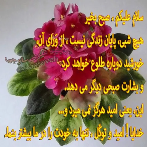 سلام علیکم ، صبح بخیر