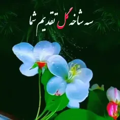 تقدیم به تمامی عزیزان ویسگون و هم وطن های ایران زمین 
