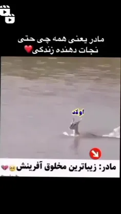 به افتخار همه مادرا❤