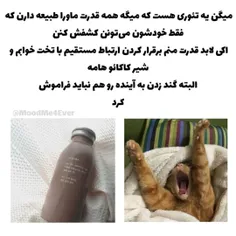 بله