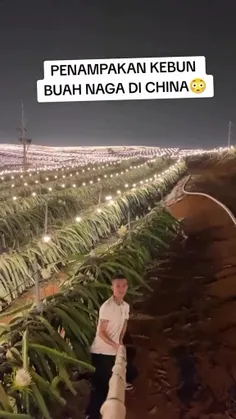 *پیج شگفت انگیز ویسگون*تشکرازلایک و حضورتون*