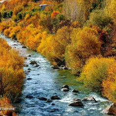 #هنرنمایی پادشاه فصل ها درسراسر ایران 😍🍁🍂