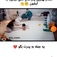 باید جایزه اسکارو بدیم به ایشون