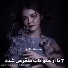 وای خوب شد منقرض شدن🥶فقط بند پهلو😫😵‍💫