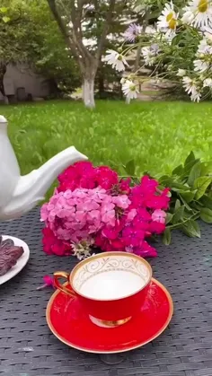 راز زندگی این است که 