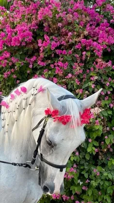 🌸