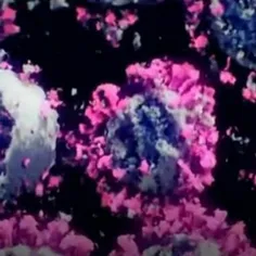 نخستین عکس سه‌بعدی واقعی از ویروس کرونا