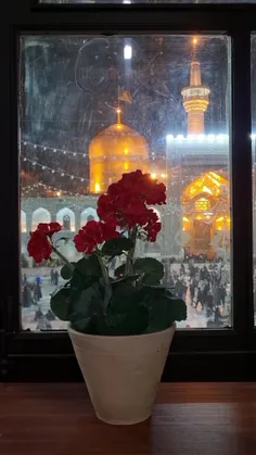 میلاد امام رضا ع مبارک 🌹🌹🌹🌹🌹🌹🌹🌹