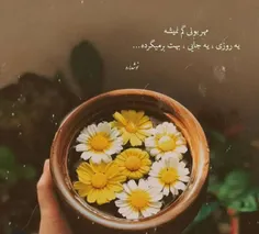 مهربونی گم نمیشه 