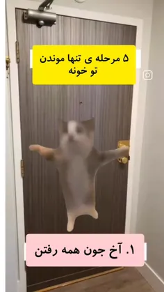 کیا مثل من همیشه تو خونه تنهان؟😂🤣