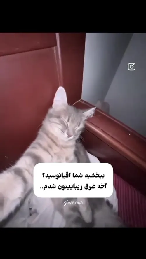  sleep_naby 65934489 - عکس ویسگون