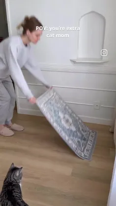 عشق گوربا ها کجان؟؟؟؟  مخصوصا خودم🎀