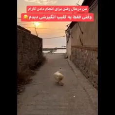 وای چقدر انگیزشیه🤣