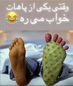 خخخخخخ