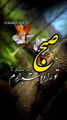 من به تو سلام میکنم تو که تک ستاره زندگیمی