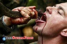 📌 خوردن خون مار کبرا توسط #نیروهای_ویژه ارتش: