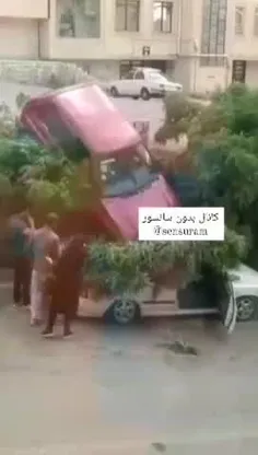 شاهکار جدید بانوی هموطن