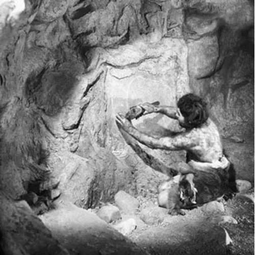 باستان شناسان کره جنوبی در مطالعات خود در غار "سام دُر" گ