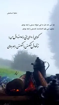 چه می شد دل به این دیوانه بستن را بلد بودی
