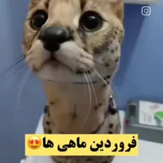 تولد فروردین ماهی ها مبارک 🎉🤩🌺