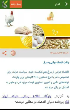 دولت از مرغ هم شکست خورد