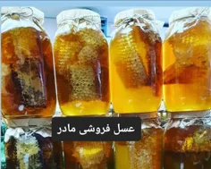 عسل طبیعی جنگلی 
