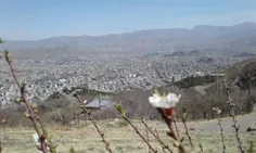 💢 بر فراز کوه های مرتفع #کردستان، در مقابل #گل ها و #شکوف