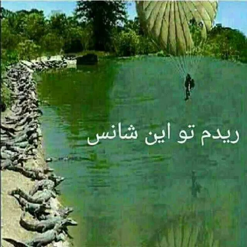 اینم شانس اینه