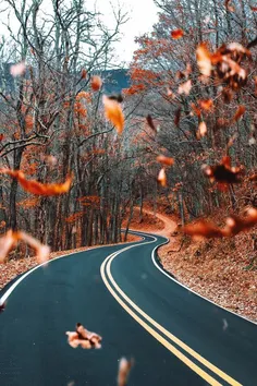#منظره#طبیعت#جاده#جنگل#فصل#پاییز#خزان#برگ#قرمز#زرد#نارنجی
