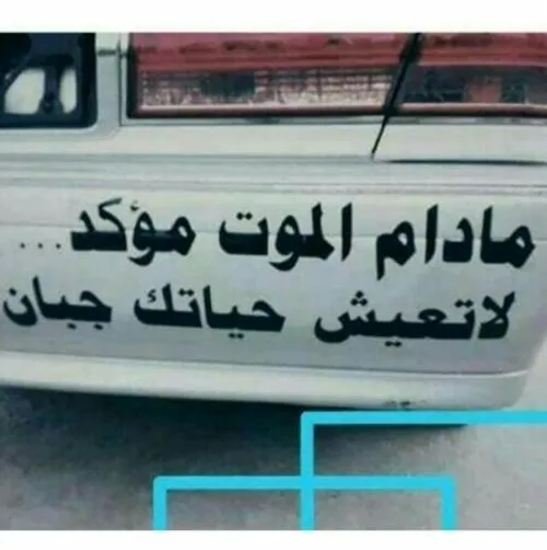 ای والله صگد 👌👍