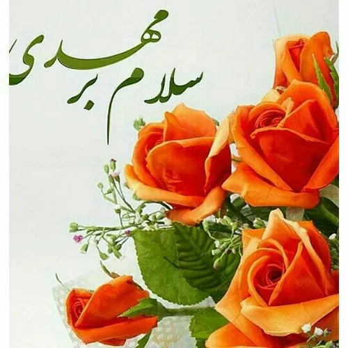 مهدی جان