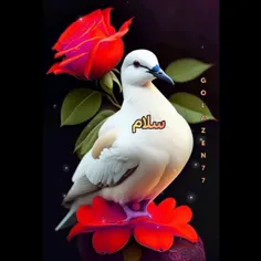 سلام به همه دوستان و عزیزان