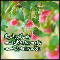 🌹حدیث پیامبراکرم حضرت محمد(ص)🌹