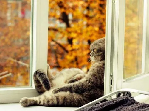 بر لب پنجره بشین و گذر عمر ببین !