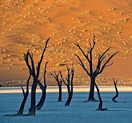 صحرای نامیبیا که شبیه به نقاشی است! فردوس برین