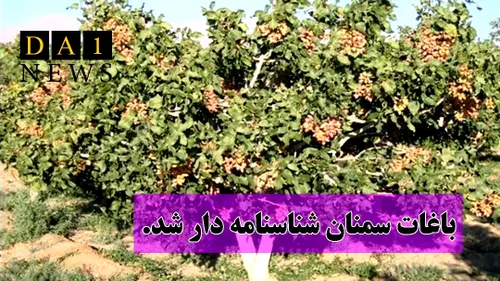 باغات استان سمنان “شناسنامه دار” شد