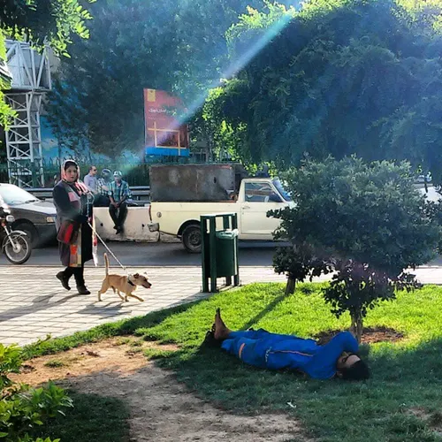 dailytehran iran Tehranpic Tehran man woman dog street st