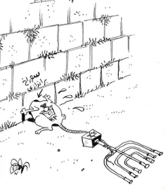 کاریکاتور «سوراخ براندازی» در واکنش به سفر خفت‌بار ربع‌په