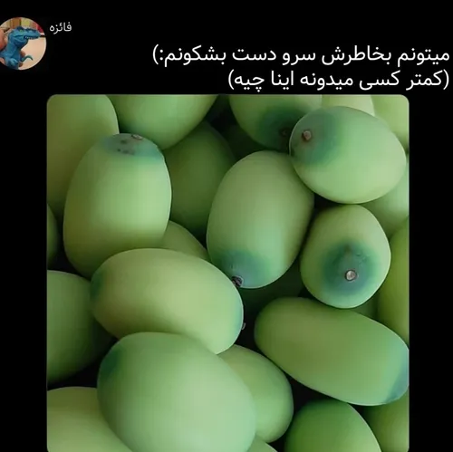 چرا هم میدونم هم نمیدونم اینا چیه ؟🥲