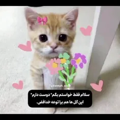 اره دیه اینشکلی💅🏻🤧