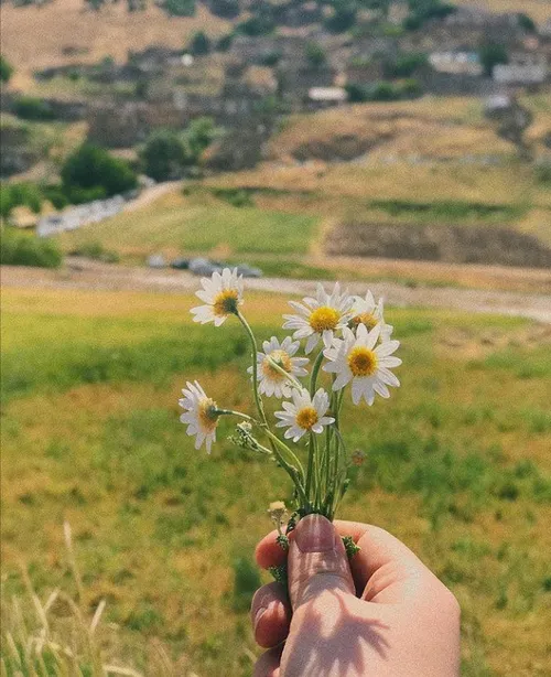 چه هوایی..چه طلوعی..جانم