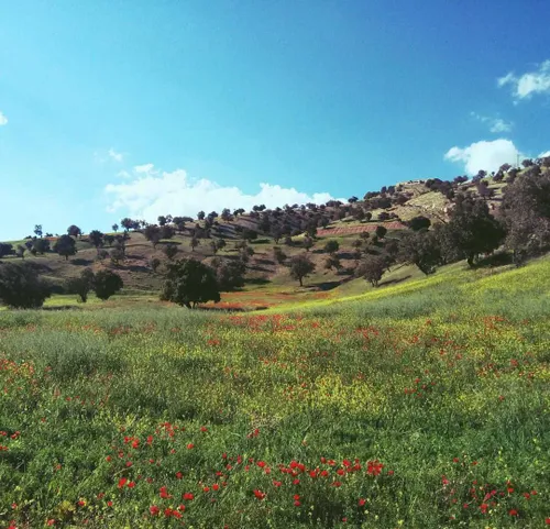 اینم اون بالا بالاهای کوه 😍😍هوا خنکککک عالیییی پاییزییی😍😍