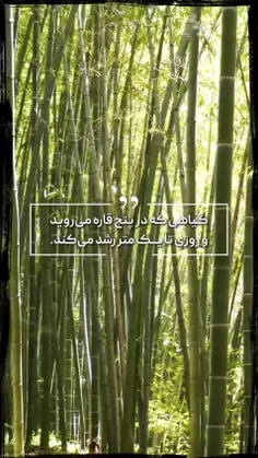 #فقط_برای_تو