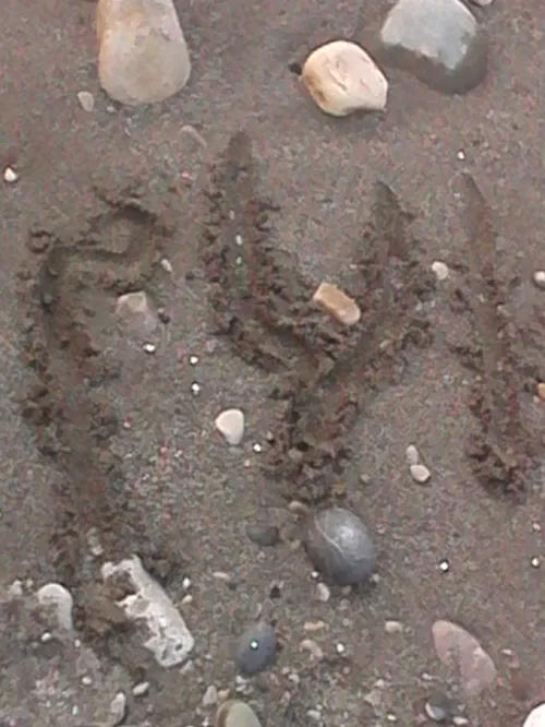 اینم واسه خالم کنار ساحل نوشتم.