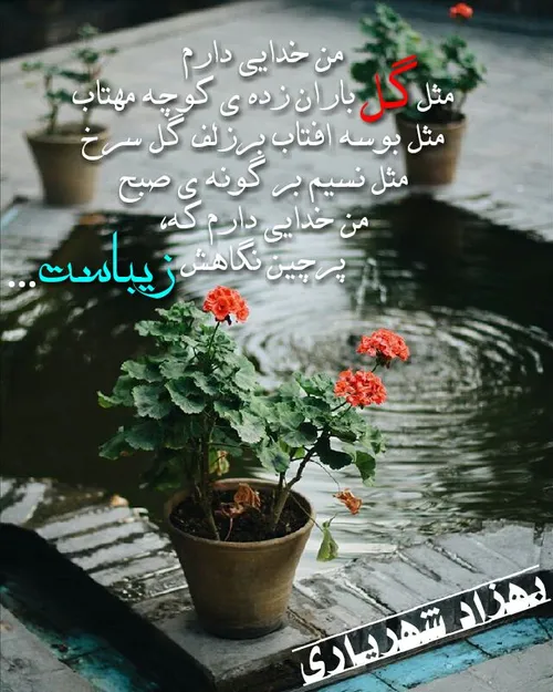 من خدایی دارم 🌸 🍃