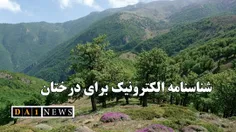 اجرای طرح شناسنامه‌دار کردن الکترونیک درختان در چند استان