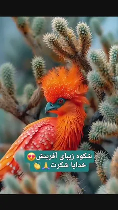 فتبارک الله احسن الخالقین 💕 خدایا شکرت بابت آفرینش اینهمه