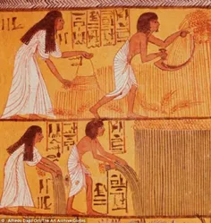 در #مصر باستان تست جنسیت وجود داشت، به اینصورت که زنان با