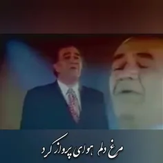 استاد بی نظیر