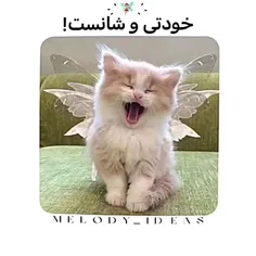  تو کامنتا بنویس چی اومد